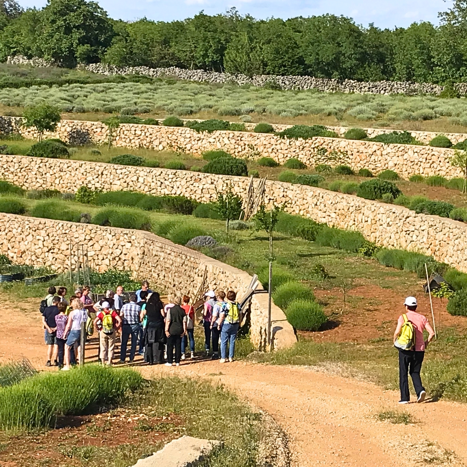 Karta za djecu od 8 do 16 godina: izlet na plantažu - Slika 3