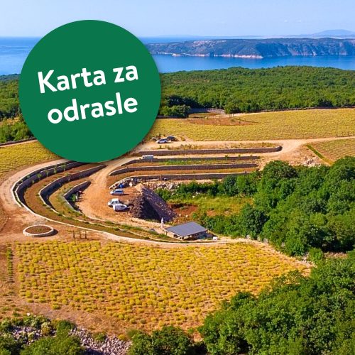 Karta za odrasle: izlet na plantažu