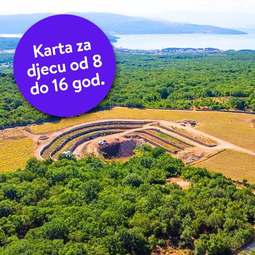Karta za djecu od 8 do 16 godina: izlet na plantažu