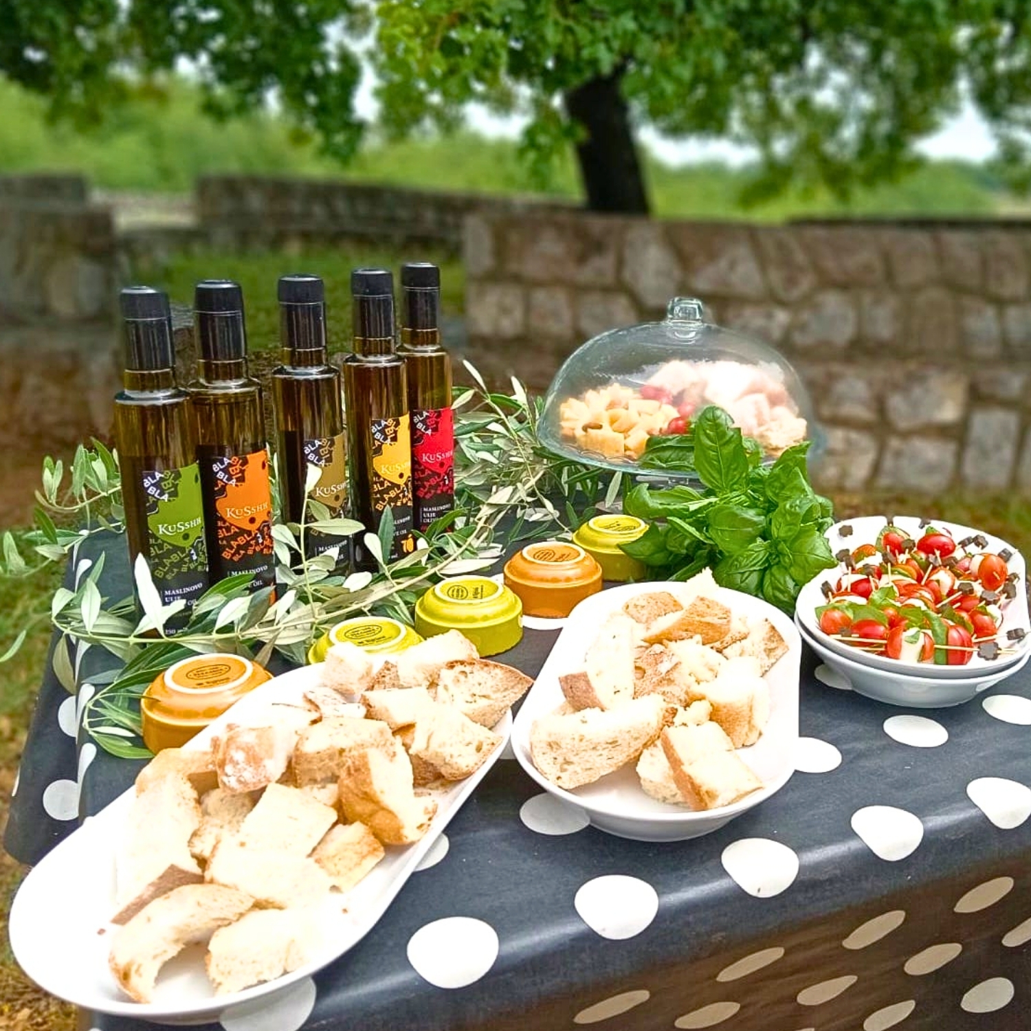 Karta za djecu od 8 do 16 godina: izlet na plantažu - Slika 4