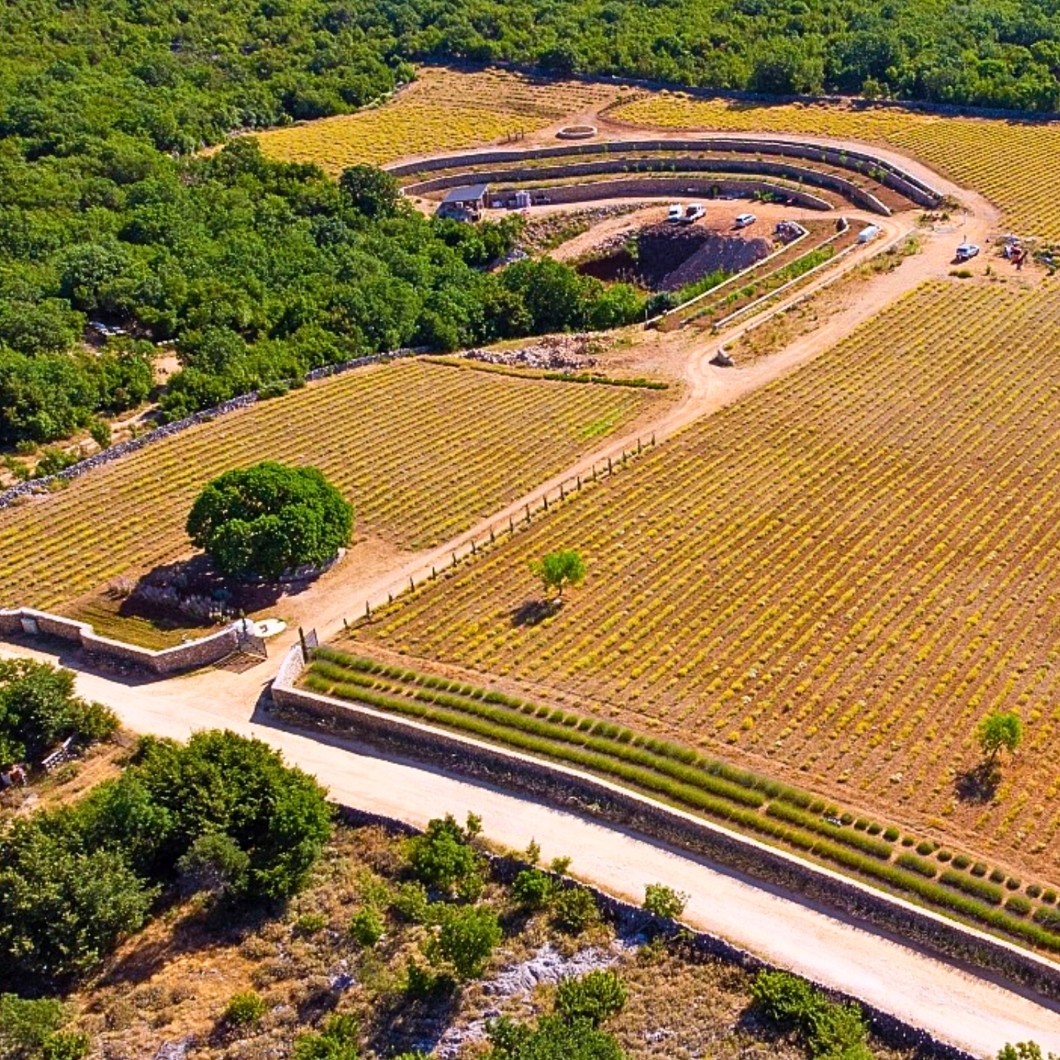 Karta za djecu od 8 do 16 godina: izlet na plantažu - Slika 7