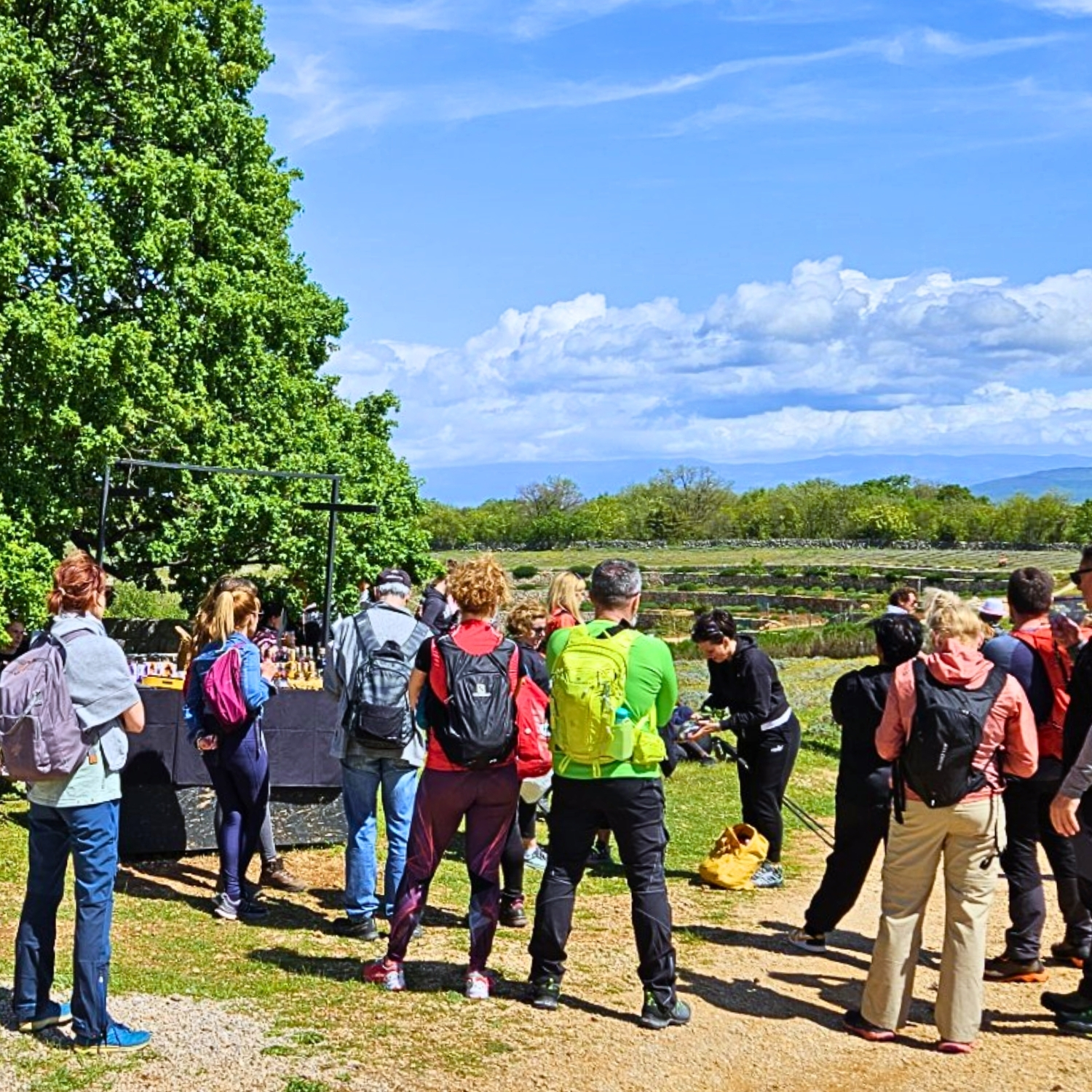 Karta za djecu od 8 do 16 godina: izlet na plantažu - Slika 8